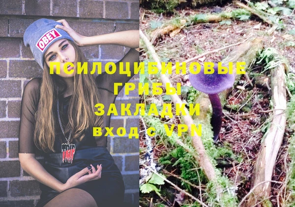 apvp Абдулино