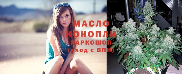 ПСИЛОЦИБИНОВЫЕ ГРИБЫ Абаза